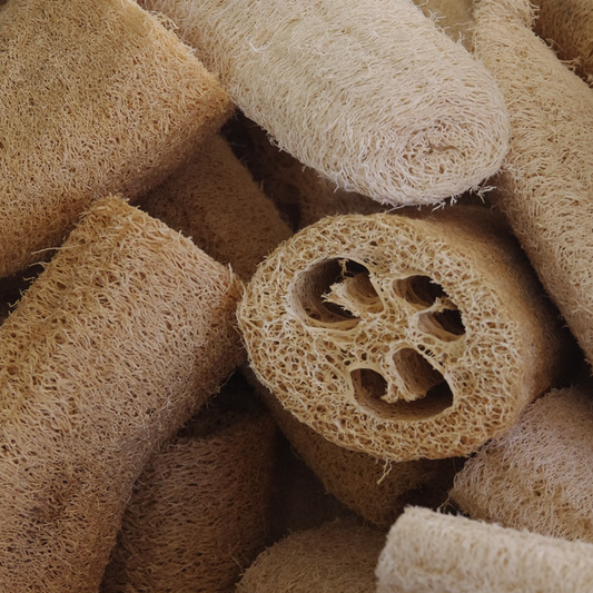 image showing dried loofah gourds