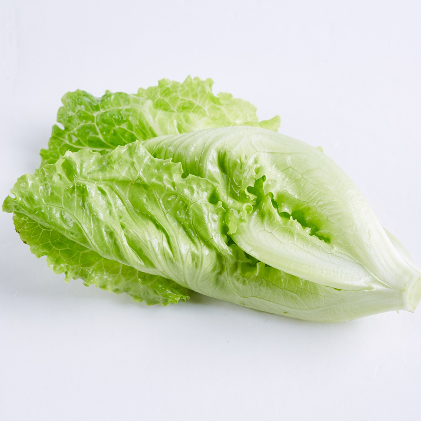 single little gem lettuce