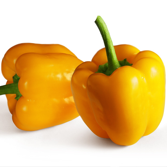 Two fresh yellow bell peppers with green stems on a white background.