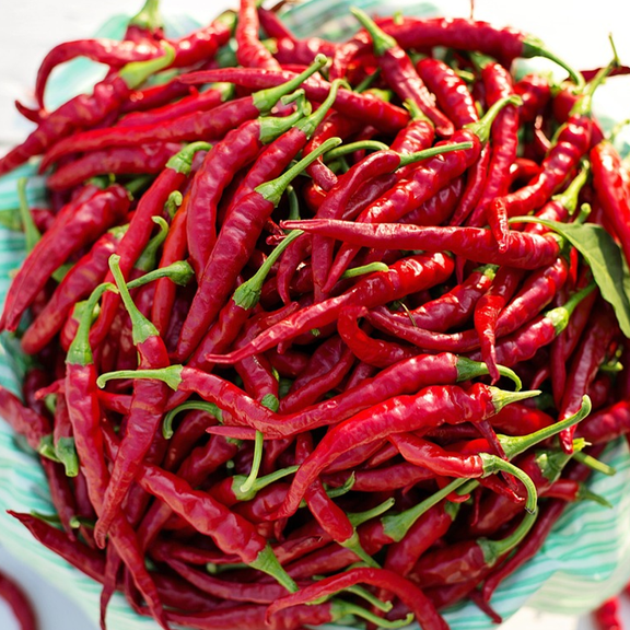 Pepper Hot Cayenne Ring of Fire Organic Seeds To Suit
