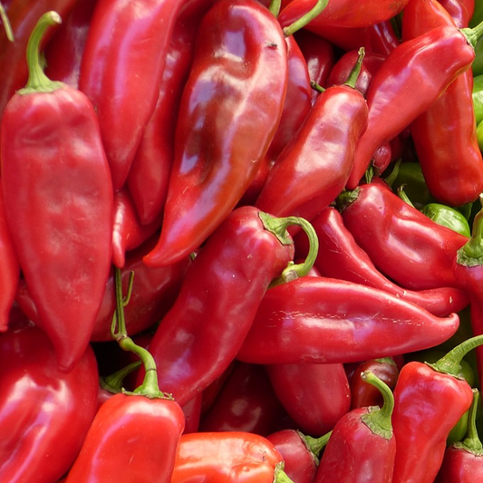 A pile of bright red, three lobed tapering sweet peppers, with a green stem visible at the top.